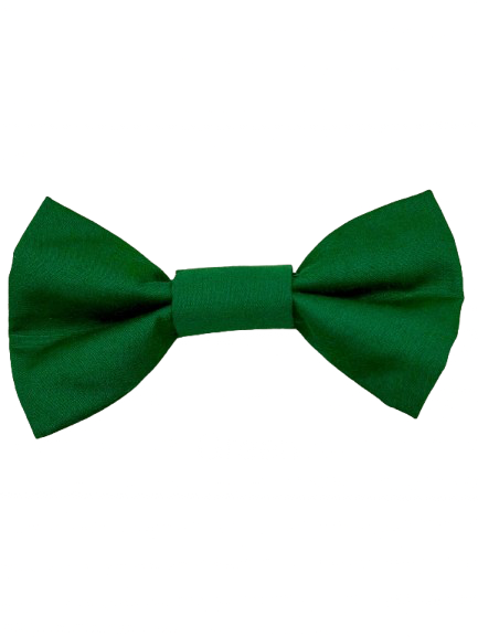 Green Dog Bow Tie - Handmade Pet Accessory