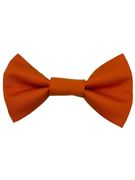 Orange Dog Bow Tie - Handmade Pet Accessory