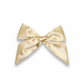 Champagne Satin Hair Bow - White Background